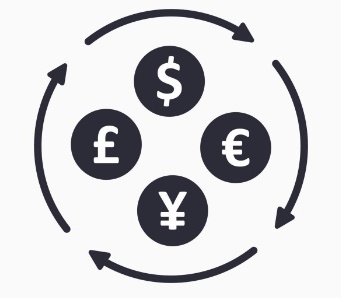 Currency Exchange via the SENA System